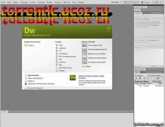 Adobe Dreamweaver CS5 [2010, RUS]